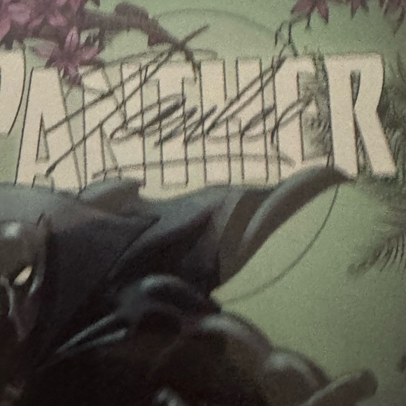 Black panther marvel - Picture 6 of 14